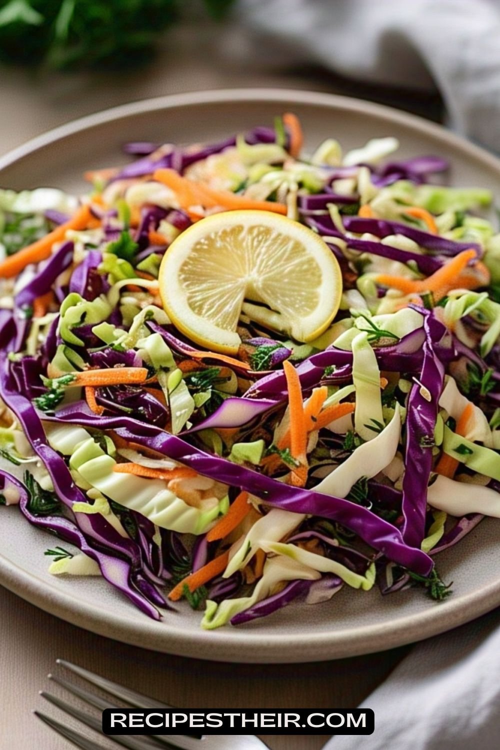 Salad Cabbage 12 Irresistible Cabbage Recipes to Add to Your Weekly Menu