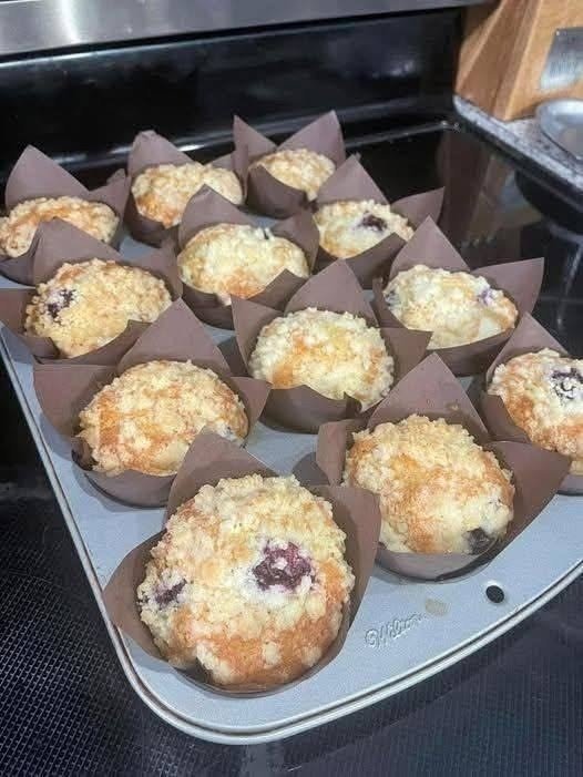 Blueberry Oat Protein Muffins