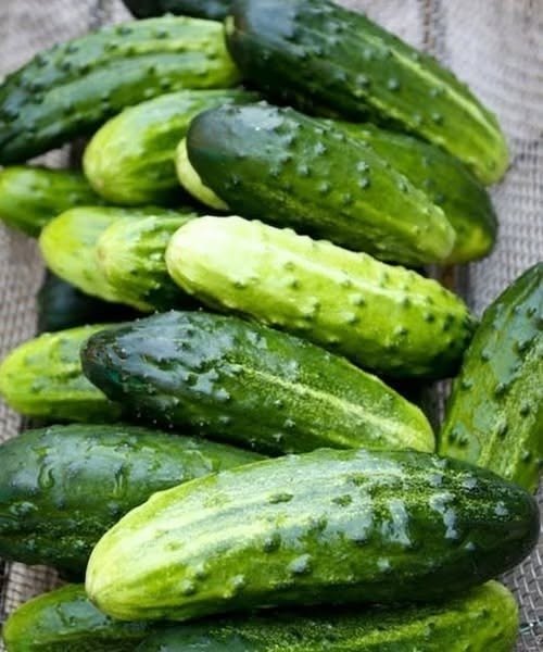 Doctors Reveal What Eating Cucumber in Salads May Cause